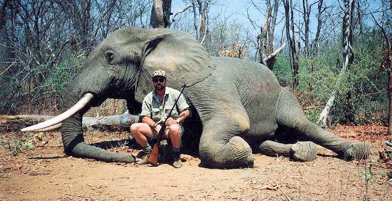 Target Back on Elephants in Botswana