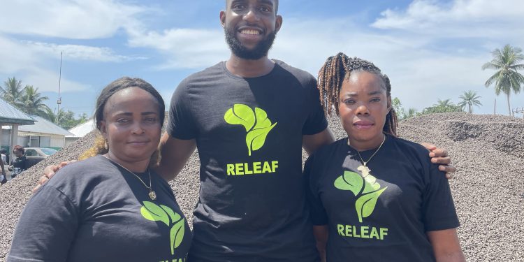 Releaf, OnePipe partnership deepens financial inclusion, improves productivity for South-South farmers