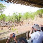 Nomad Africa Vulture Conservation