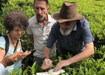 “Tea Tourism” – A Hot New Travel Trend?