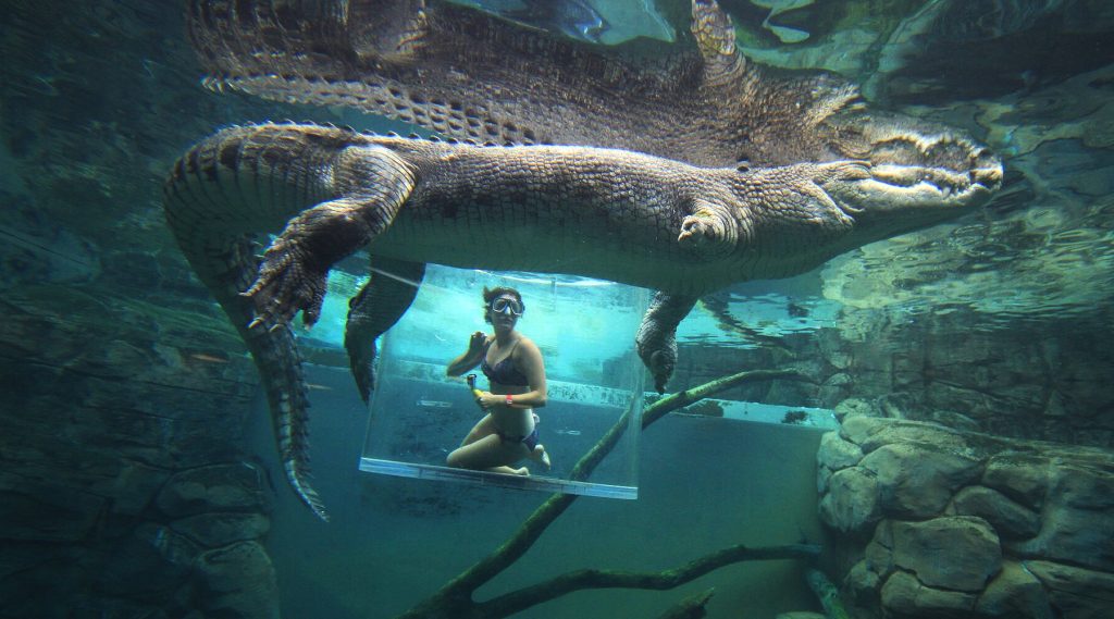 Nomad Africa Cage of Death, Australia