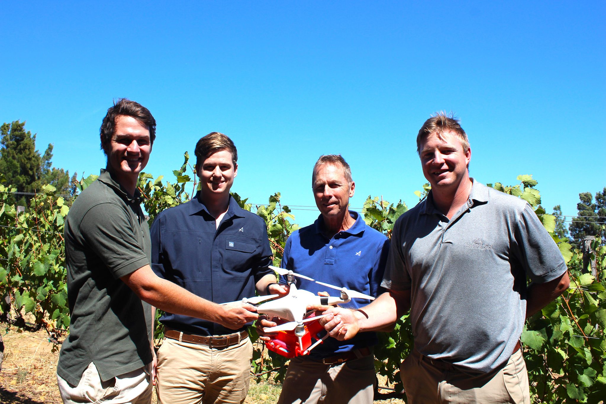 Vergelegen Utilizes DroneDelivered Beneficial Insects to Tackle