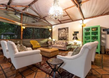 Tintswalo Siankaba_Nomad Mag