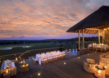 Mhondoro Partners With Luke Dale Roberts In Welgevonden Game Reserve