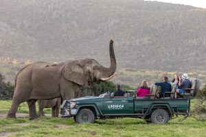 African Safari Nomad Africa Magazine