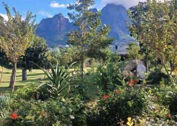Bertha Retreat: Work, Connect and Admire