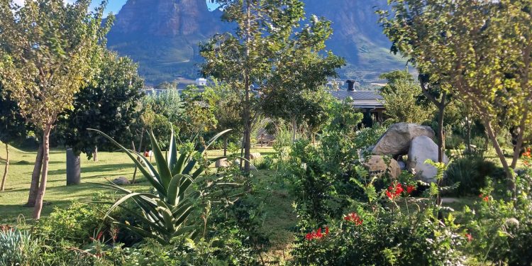 Bertha Retreat: Work, Connect and Admire