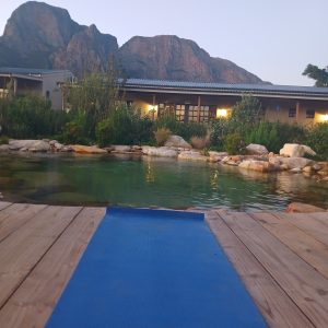 A view from the rock pool