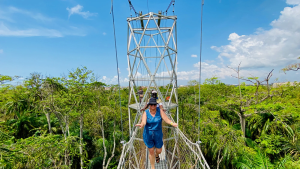 Lekki Conservation Centre Nomad Africa