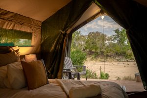 Kruger Untamed Camp Nomad Africa Magazine