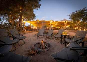 Kruger Untamed Nomad Africa