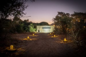 Kruger Untamed Nomad