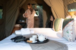 Kruger Untamed Luxury Camp Nomad Africa