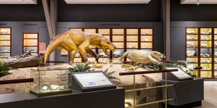 Drostdy Hotel Becomes the Heartbeat of South Africa’s Fossil Revolution