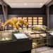 Drostdy Hotel Becomes the Heartbeat of South Africa’s Fossil Revolution