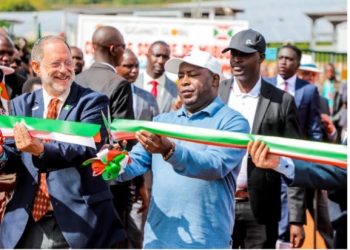 Catalytic Finance: The Key to Powering Africa